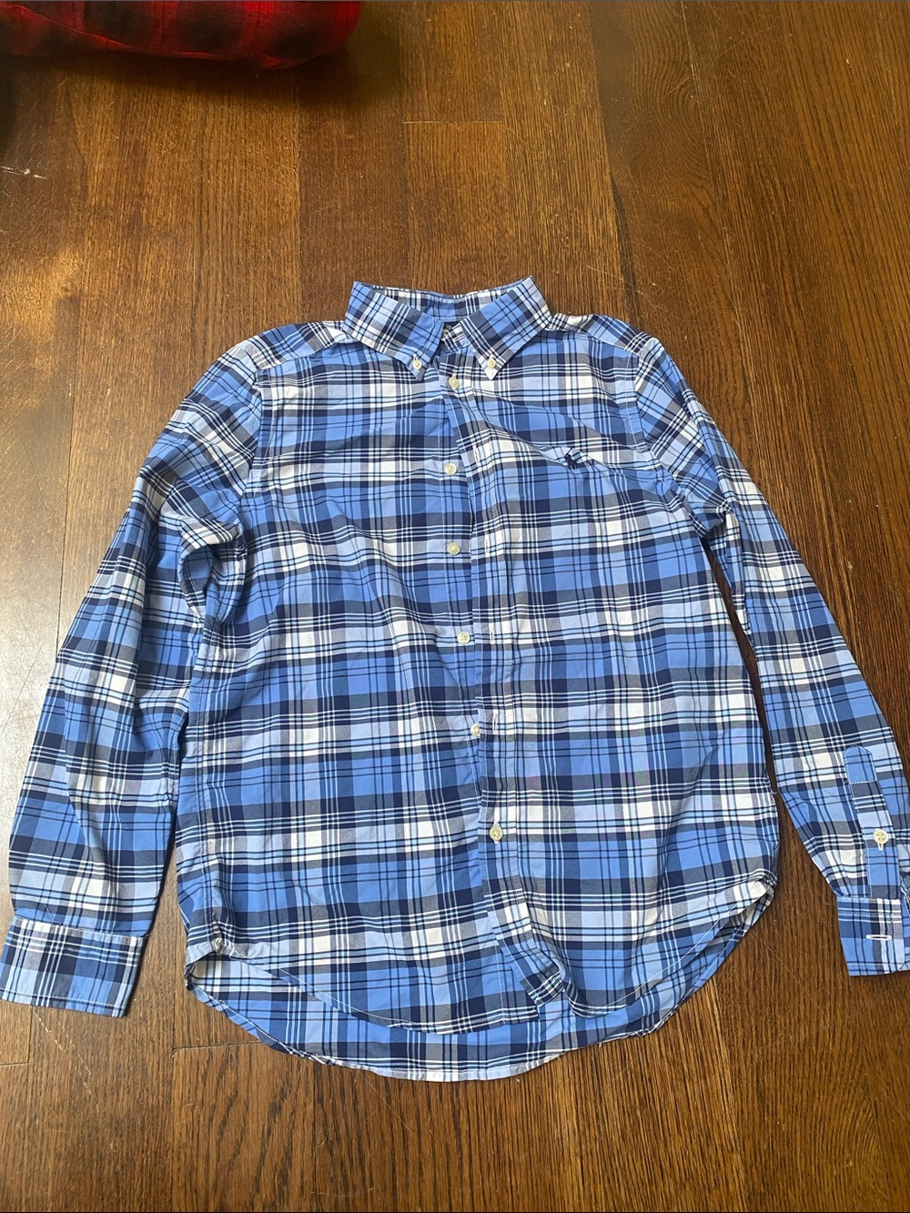 Polo by Ralph Lauren Blue and White Plaid Button-Down Shirt